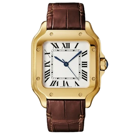 BROWN LEATHER GOLD Seiko Mod SANTOS